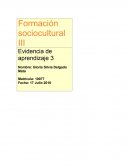 Formación sociocultural III Evidencia de aprendizaje 3