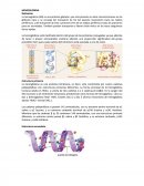 HEMOGLOBINA Definición