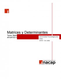 Matrices y Determinantes Tema: Matrices APUNTES Y EJERCICIOS. Página 1