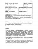Evidencia Matematicas