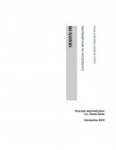 INTRODUCCION DE MI NEGOCIO.