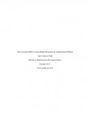 Nueva Gestión Pública Versus Modelo Burocrático de Administración Pública