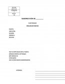 Formato analisis de puesto.