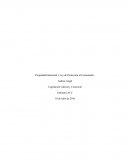 Propiedad Intelectual y Ley de Protección al Consumidor. SEMANA 6