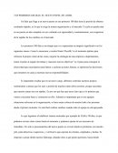 Tus primeros 100 días ensayo.