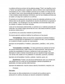 Los polímeros son producidos mediante la polimerización.