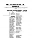 Boletin minero.