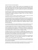 Lugares de formación de las células sanguíneas