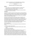 Obtención de Cultivos Puros de Bacterias y Hongos