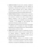 Tipos de auditoría.