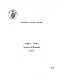 Proyecto de Español Ensayo - El aborto