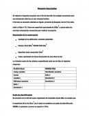 Memoria descriptiva