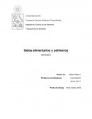 Geles alimentarios y biopolimeros