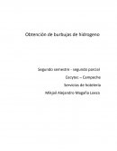 Obtencion de burbujas de hidrogeno