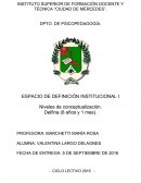 NIVELES DE CONCEPTUALIZACIÓN