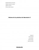Informe de la práctica de laboratorio 2