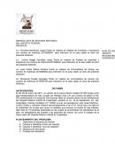 Dictamen de incendios y explosivos.