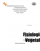 Investigar Fisiología Vegetal