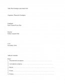 Planeación Estratégica. Comercio al por mayor y menor de equipos audiovisuales.