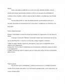 Plan de negocios empresa zapatera.