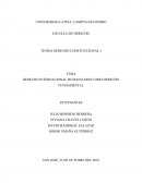 Derecho Internacional Humanitario.