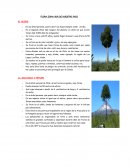 Caracteristicas Flora y Fauna.