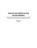 ENSAYO ORIENTACION SOCIOLABORAL
