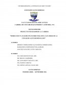 Modelo de un análisis financiero para finca san jorge de la ciudad de Santo Domingo