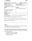 Sistemas de información, organización y estrategia