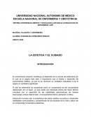 LA ESTETICA Y EL CUIDADO