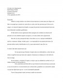 El Líder en la Organización.