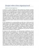 Ensayo sobre clima organizacional