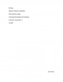 Kikiricaja. Formación Sociocultural 1