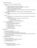 ANTIGÜEDAD Y EDAD MEDIA