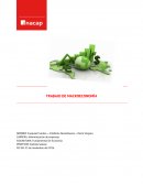 TRABAJO DE MACROECONOMÍA.