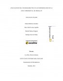 APLICACIONES DEL NEUROMARKETING EN LOS MINIMERCADOS DE LA ZONA NORORIENTAL DE MEDELLÍN