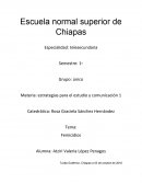 Femicidios . estrategias para el estudio y comunicación 1