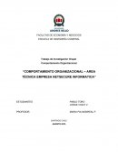 Comportamiento organizacional – Area técnica empresa Netsecure informatica
