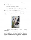 Analisis dimensional. Desarrollo de la práctica