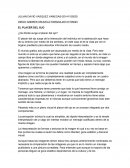 EL PLACER DEL OJO ¿De dónde surge el placer del ojo?