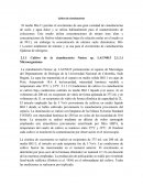 Cultivo de cianobacterias