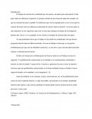 El trabajo de noticias fue constituido por tres partes, una parte para cada parcial.