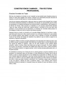Construyendo caminos..trayectoria profesional