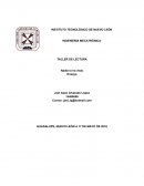 Ensayo del libro Nadie lo ha visto