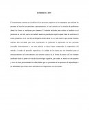 LOS PROTOCOLOS DE PENSAMIENTO EN VOZ ALTA