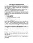 GESTION DE UN PROGRAMA DE AUDITORIA: