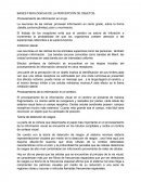 BASES FISIOLÓGICAS DE LA PERCEPCIÓN DE OBJETOS.