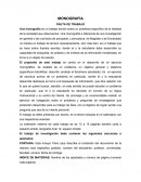 MONOGRAFIA PAUTA DE TRABAJO