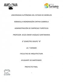 AYUDANTE DE BARTENDER PROYECTO FINAL. Página 1