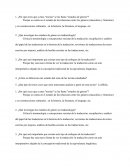 ¿Por qué crees que a estas "teorías" se les llama "estudios de género"?